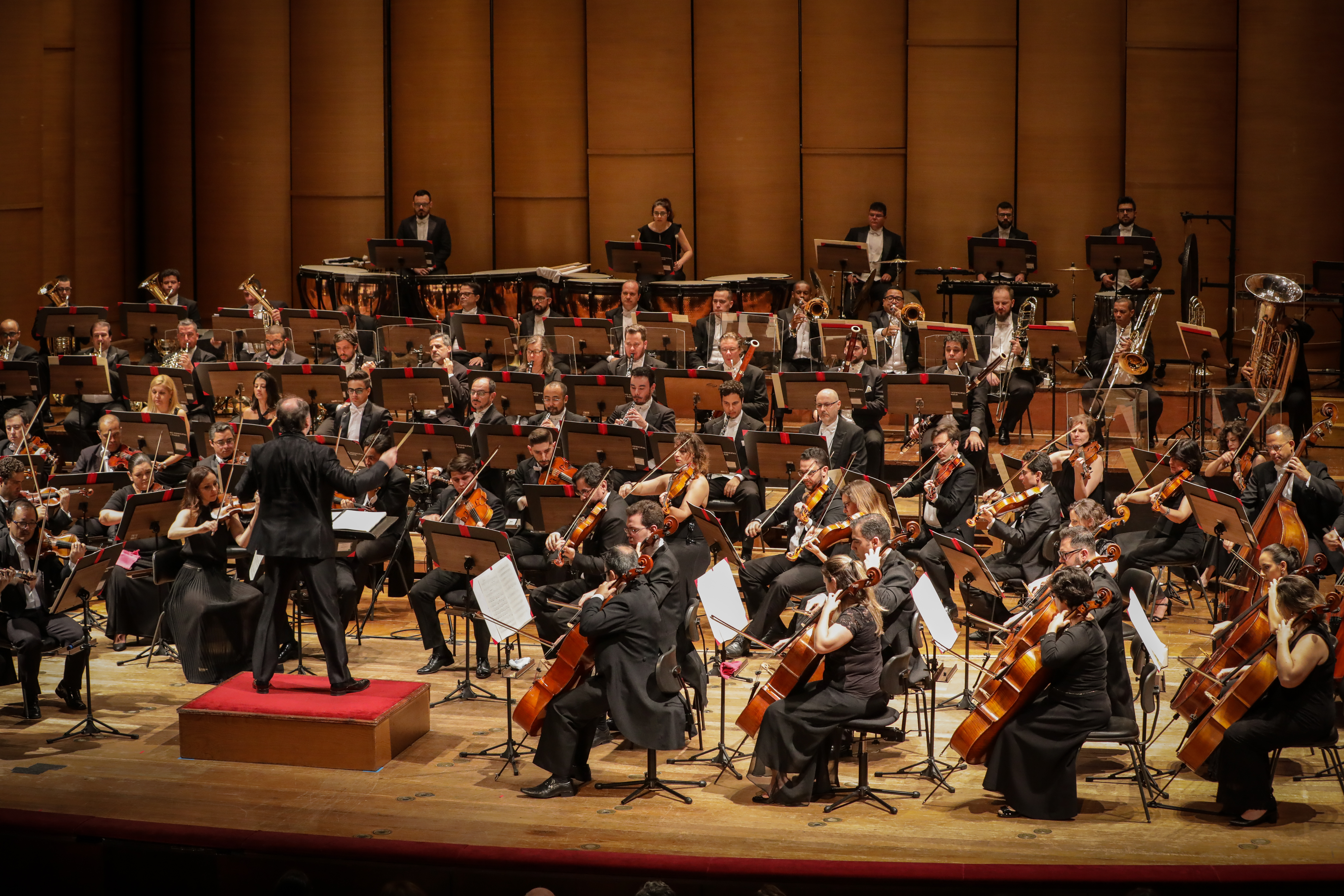 Orquestra Sinfônica Municipal tocando na sala de espetáculos do Theatro Municipal, com maestro regendo a frente, todos vestem preto e tocam cada qual o seu instrumento
