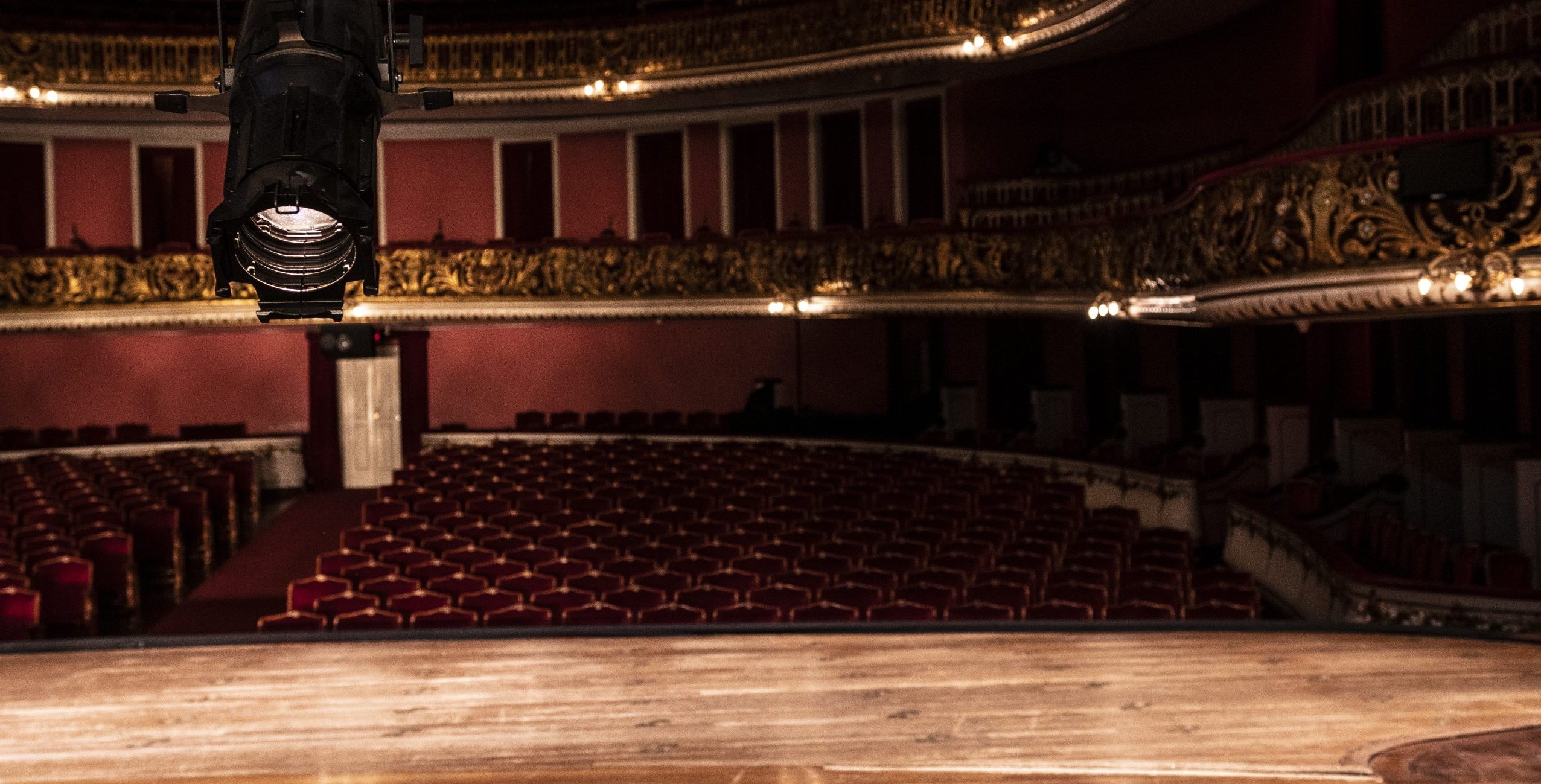 Foto com a visão de quem se apresenta no palco do Theatro Municipal com um refletor direcionado
