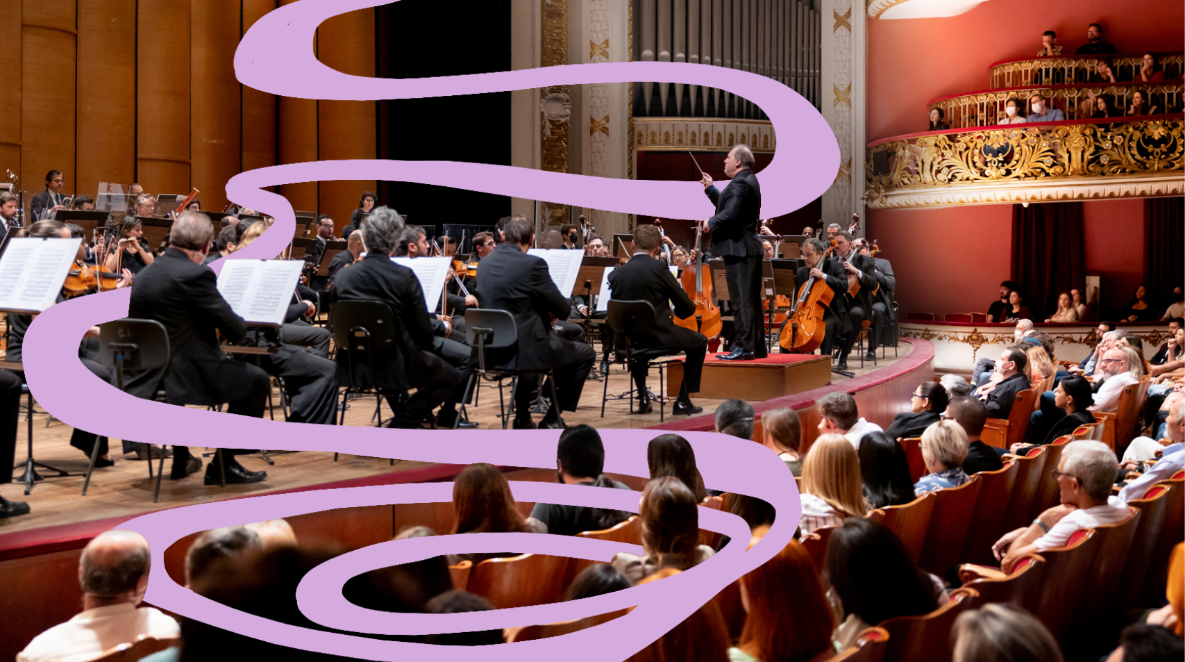 Foto da Orquestra durante um concerto