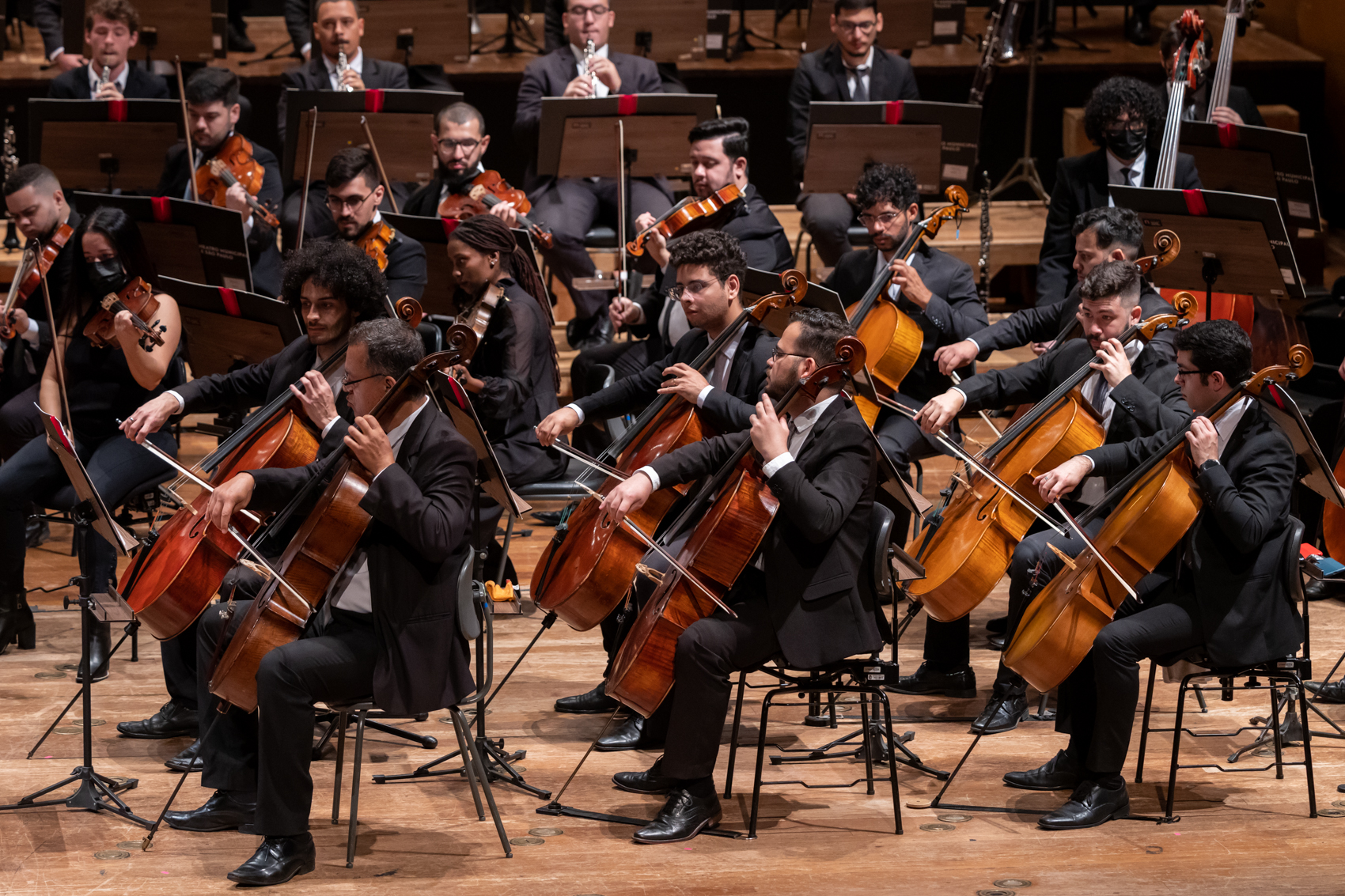Foto de orquestra tocando durante um concerto
