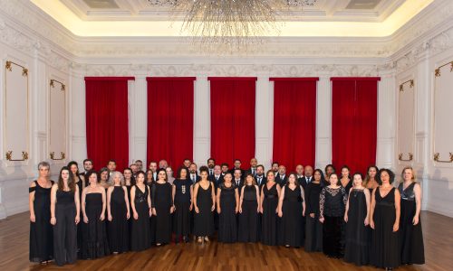 01_CoralPaulistano_porClarissaLambert