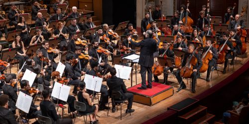 Concerto | Paz na Terra: 190 anos de Saint-Saëns