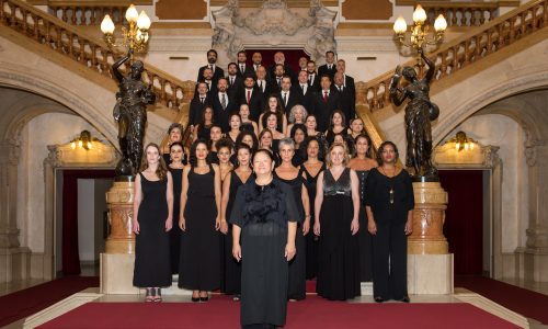 18_CoralPaulistano_porClarissaLambert